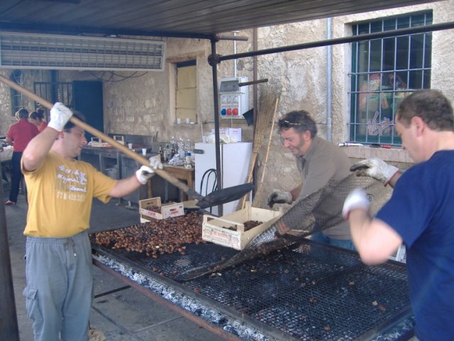 2009 castagnata (3)